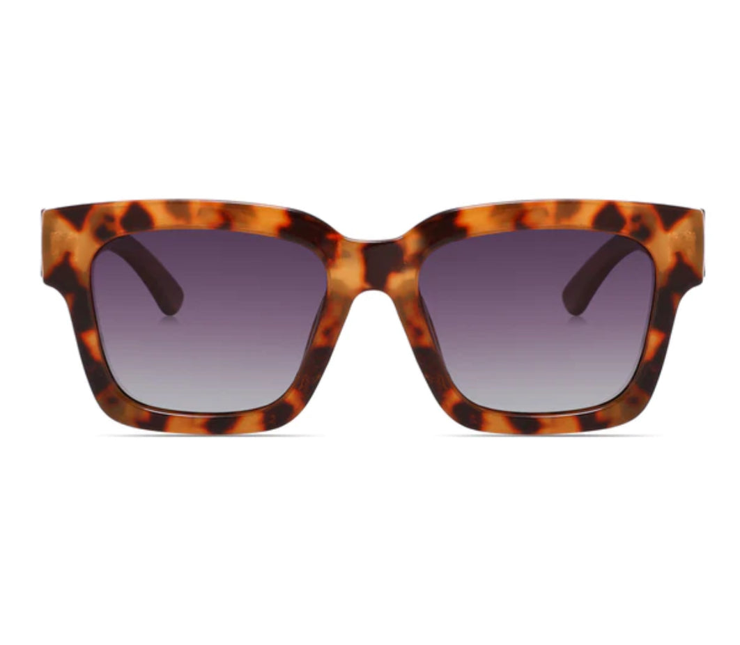 Kuma Sunglasses