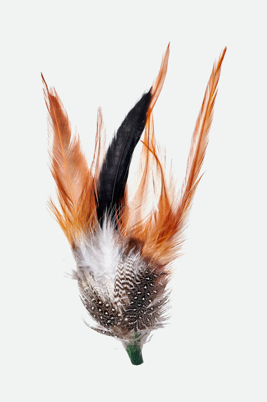 Hat Feathers