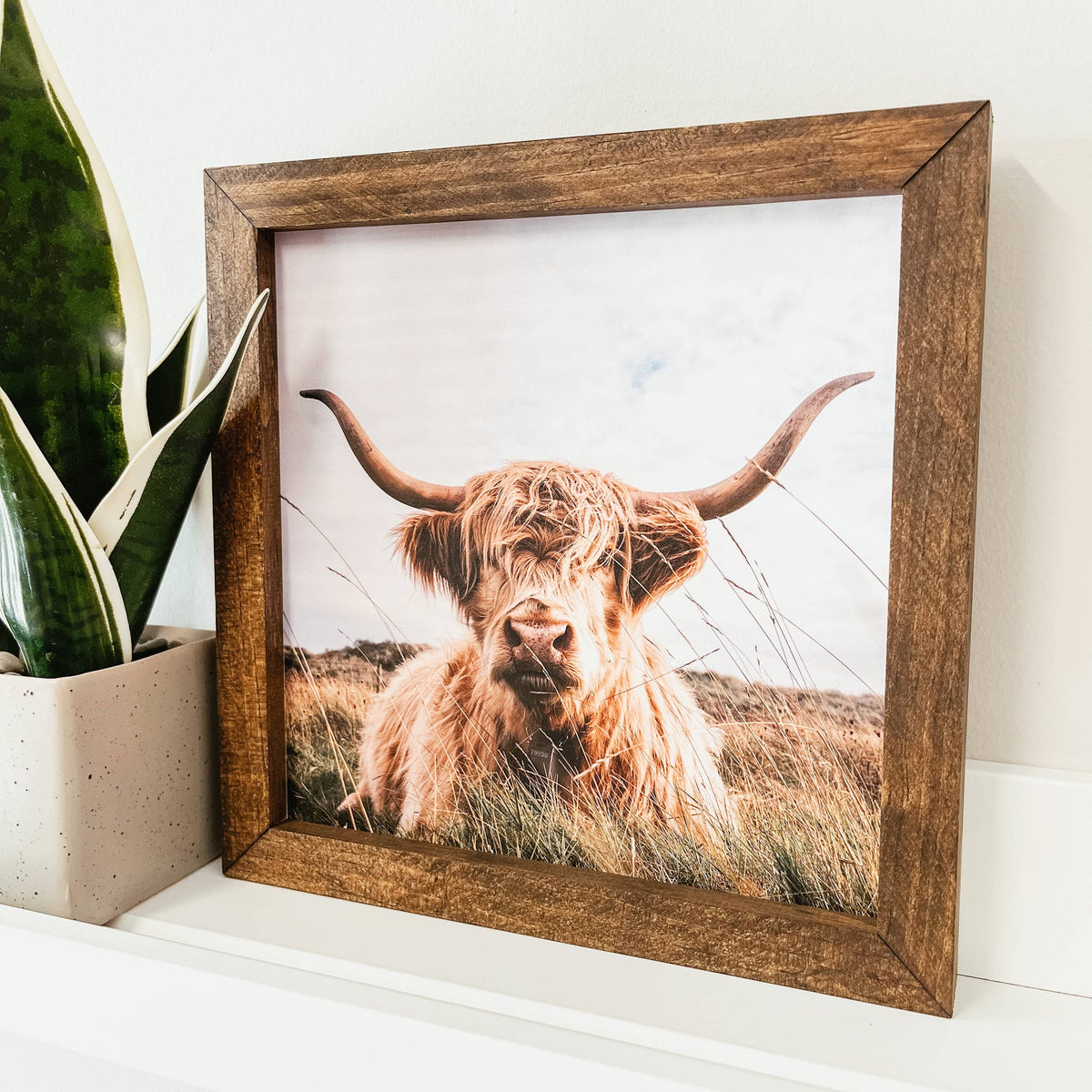 Highland Cow Framed Wooden Sign