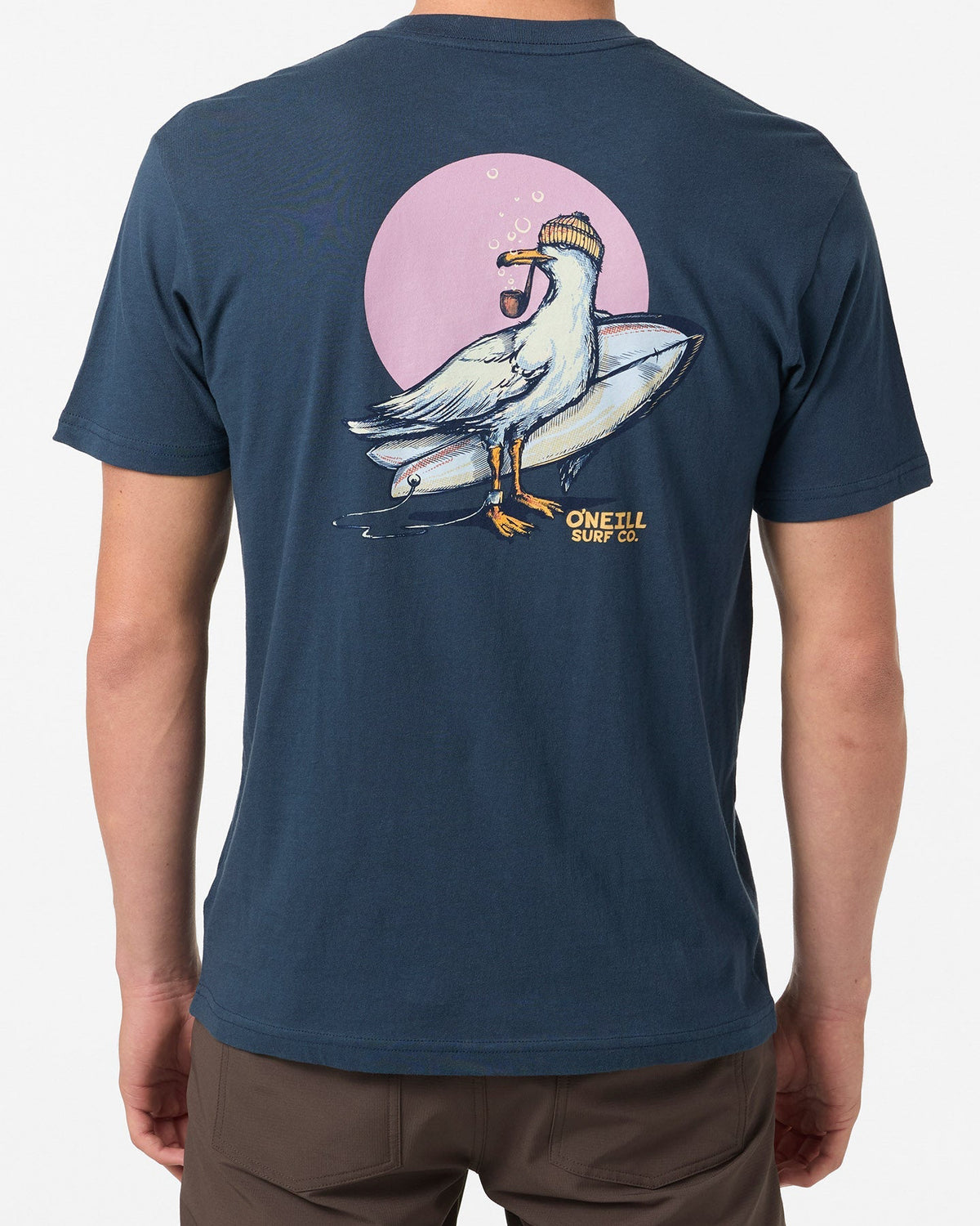 Steven Seagull