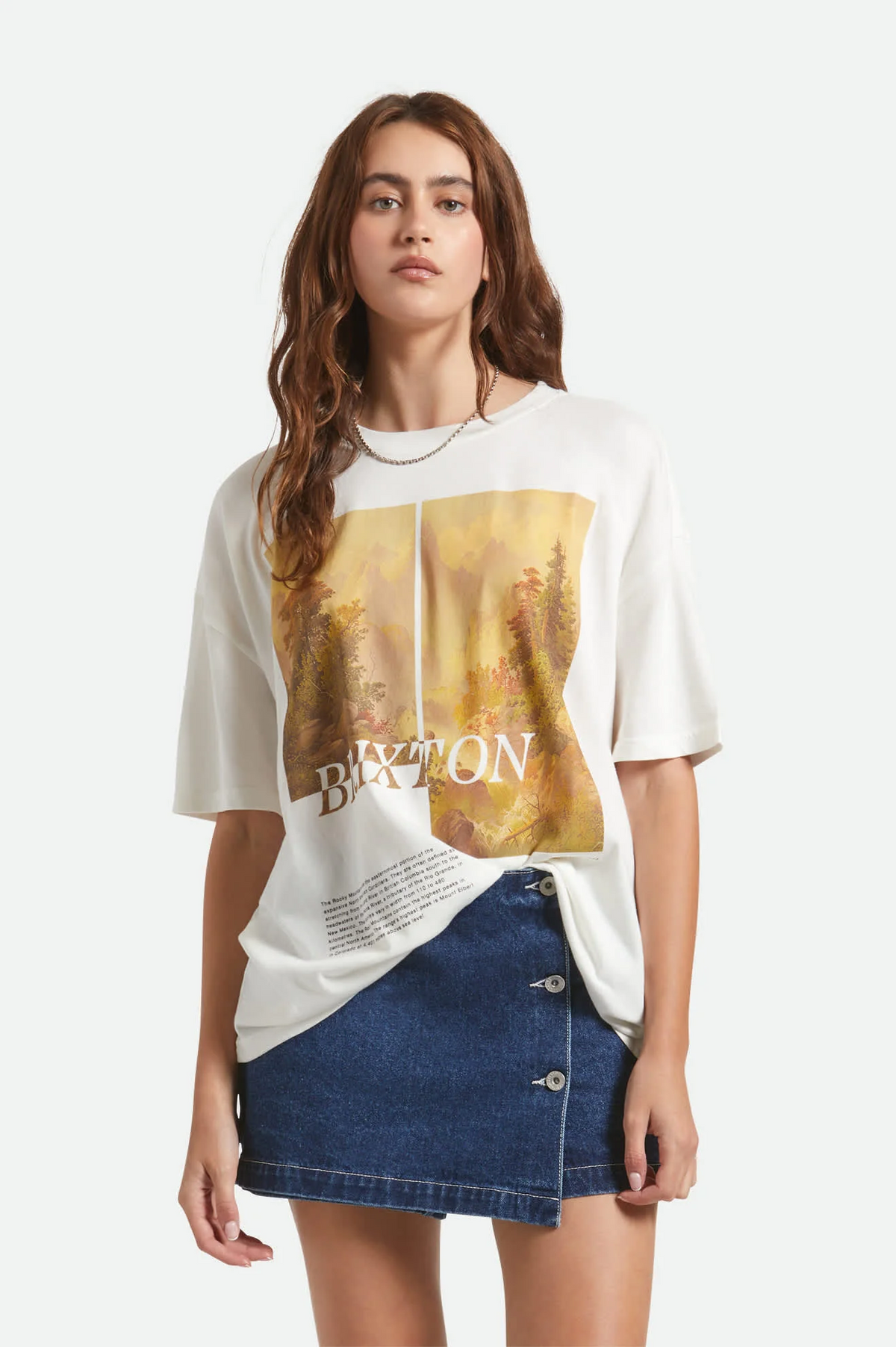 Rocky Mountain Oversized Boyfriend Tee