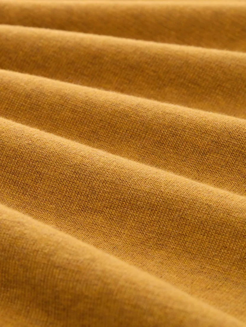 Basic V-neck Knit