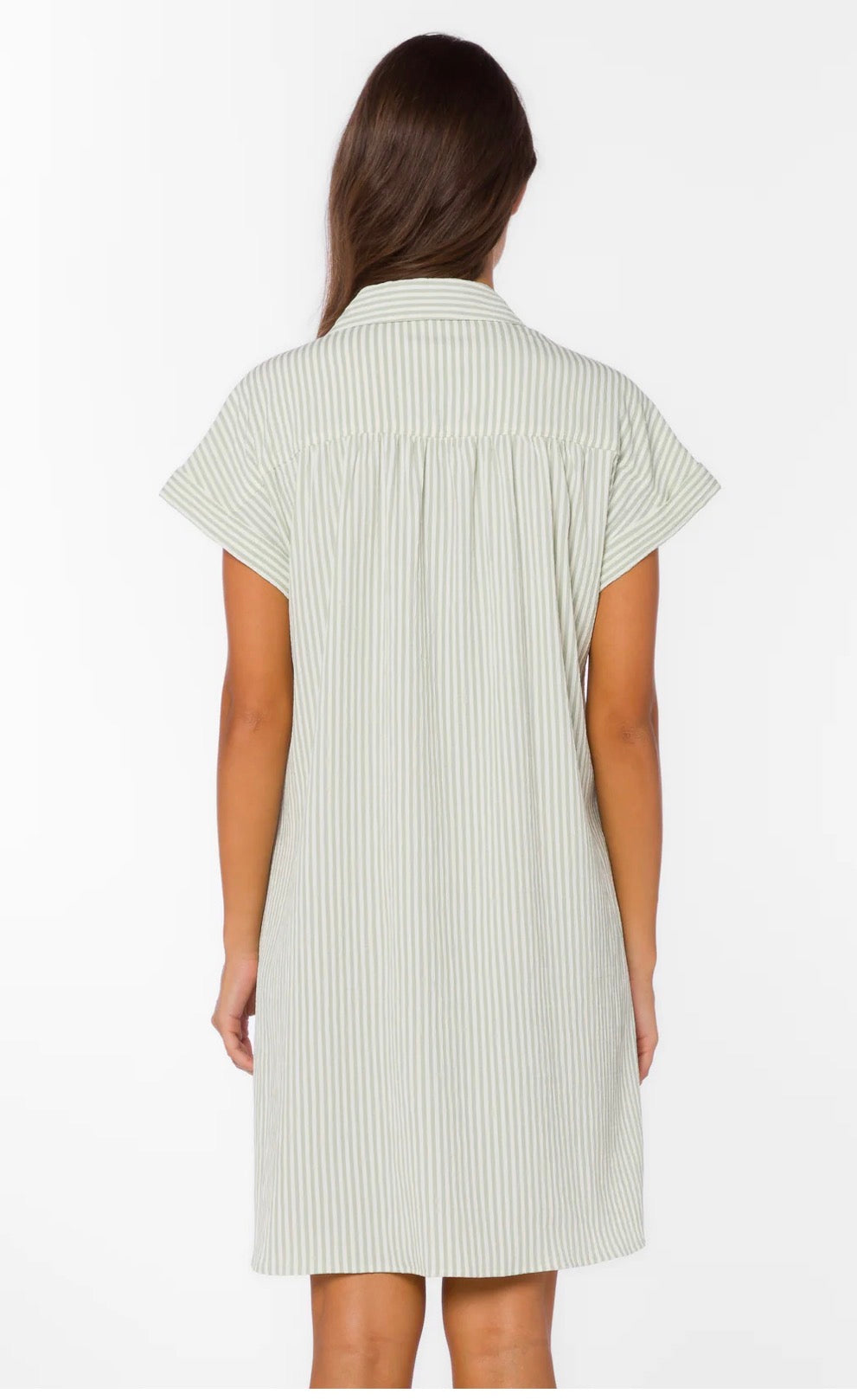 Merilee Stripe Sage Dress