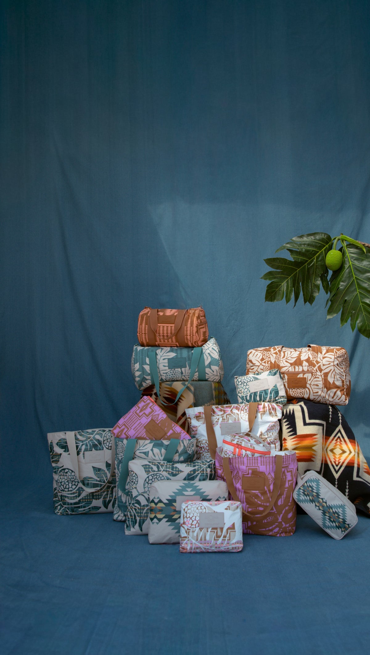 Holomua Harding Small Pouch