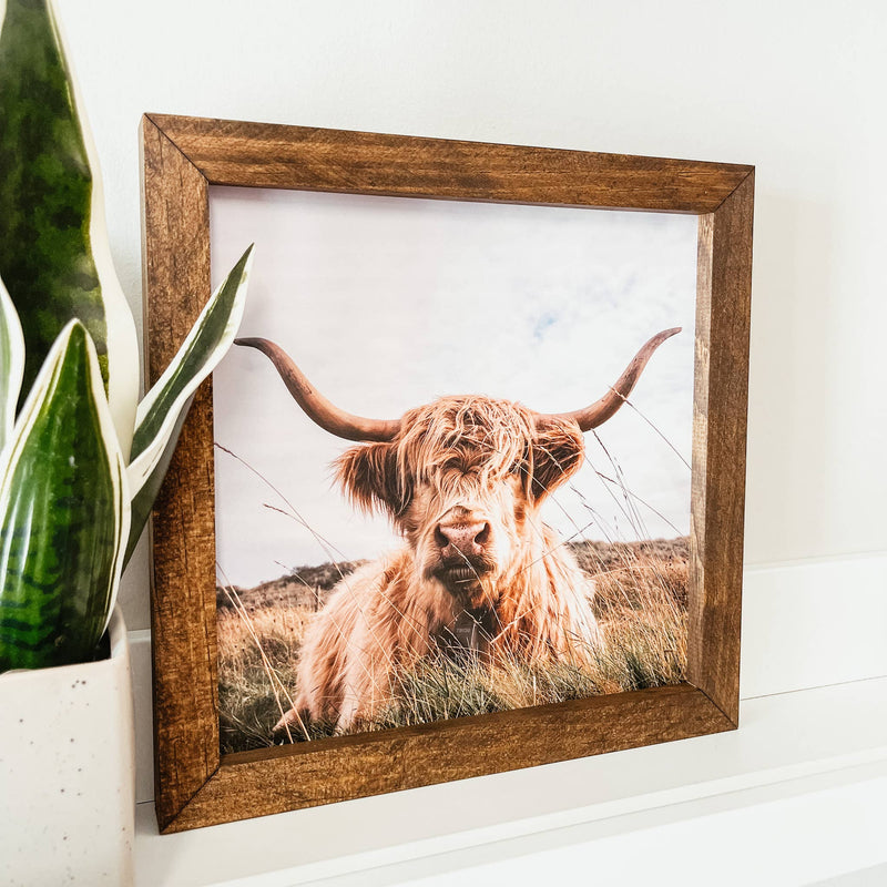 Highland Cow Framed Wooden Sign